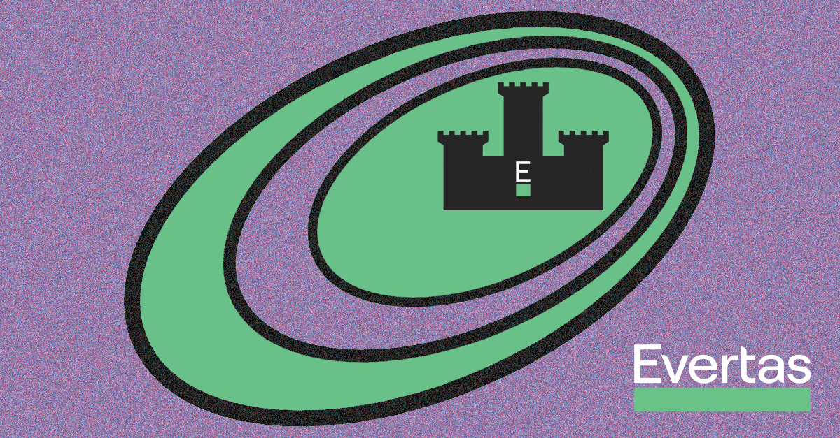 A graphic of a concentric castle used to illustrate layers of physical security provided by evertas professional services